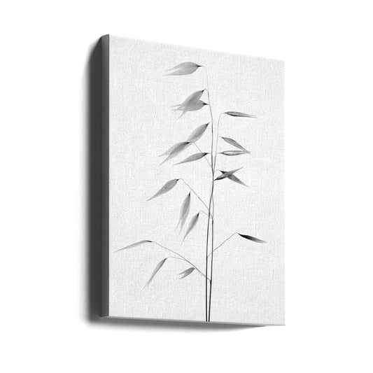 Sharpness of the nature by Thierry Lagandré (Transgressed Light) — gallery-wrapped canvas angled view