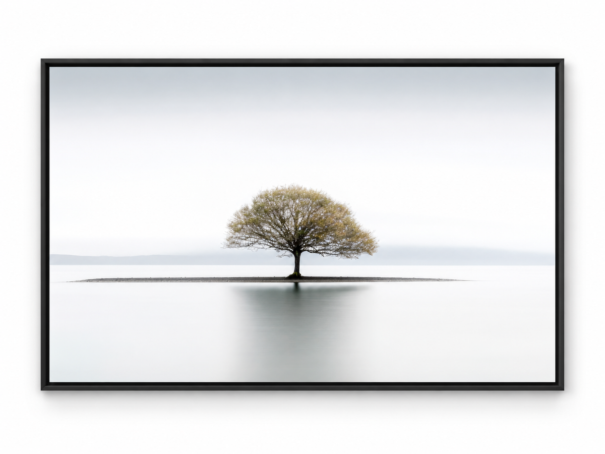 Still | Canvas Print | Minimalist Tree Landscape Wall Art — black floating frame front view