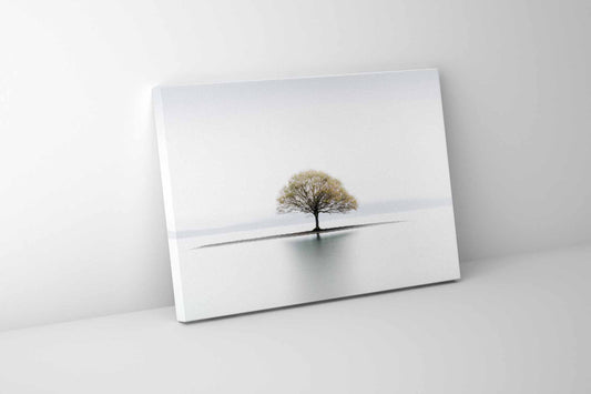Still | Canvas Print | Minimalist Tree Landscape Wall Art — canvas leaning against a wall