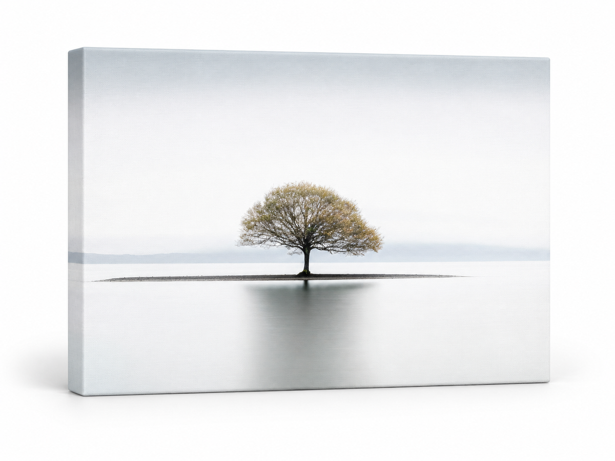 Still | Canvas Print | Minimalist Tree Landscape Wall Art — gallery-wrapped canvas angled view