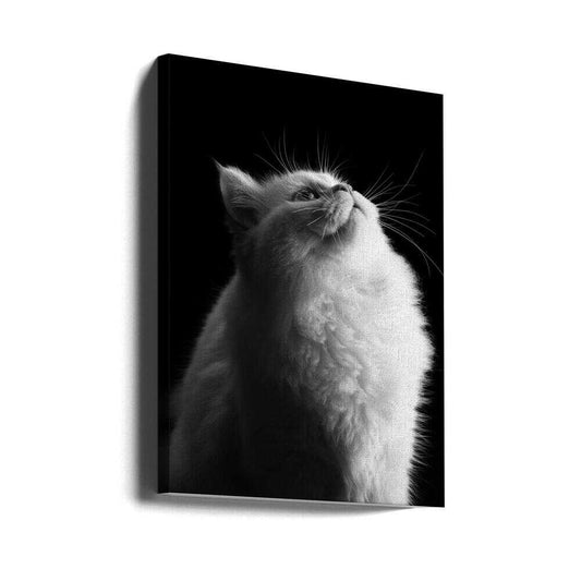 White in Black by Asep Awaludin — gallery-wrapped canvas angled view