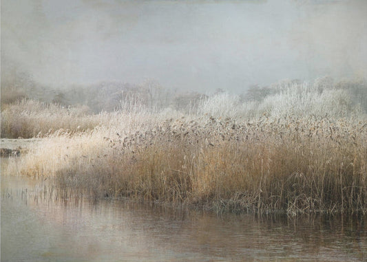Wintermorning by Nel Talen — artwork front view