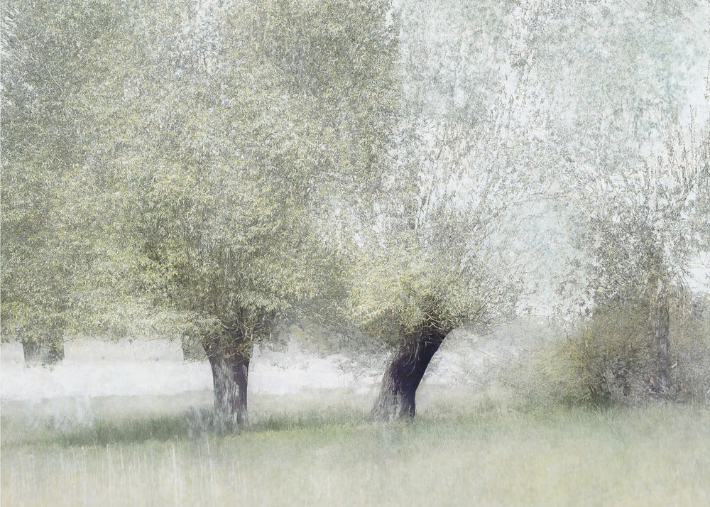 Young green by Nel Talen — artwork front view