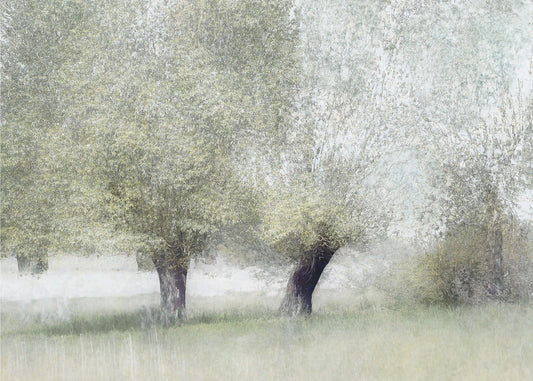 Young green by Nel Talen — artwork front view