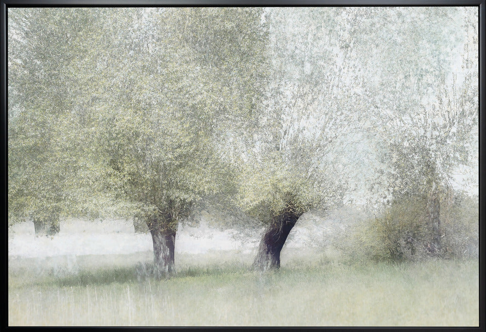Young green by Nel Talen — black floating frame front view